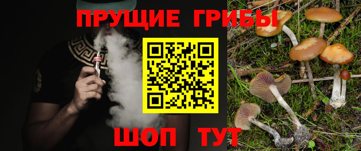 Полевской  купить   Вход с VPN  Галлюциногенные грибы MAGIC MUSHROOMS  Псилоцибиновые грибы прущие грибы 